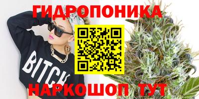 дмт Гусь-Хрустальный