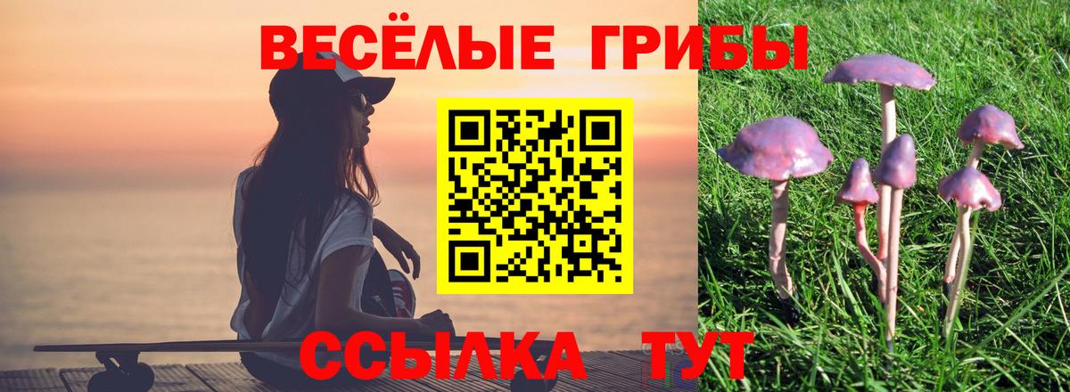 Галлюциногенные грибы Psilocybine cubensis  Вход с VPN  купить наркотики цена  Псилоцибиновые грибы GOLDEN TEACHER  Надым 